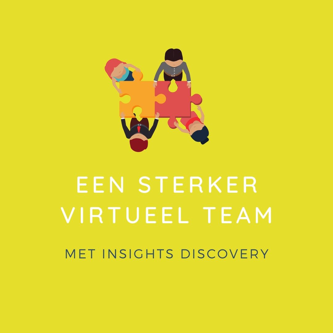 Virtueel team insights discovery